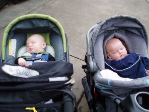 Hank and Micah's first trip to the zoo