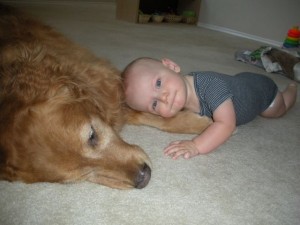 sweet-puppy Hank loves his "puppy"!