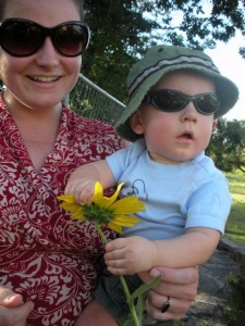 sunflower1 he especially enjoyed trying to tear the petals off