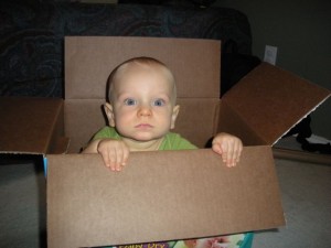 hank in box Hank loves climbing into boxes